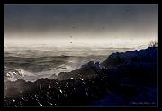 wind n surf-posted_1373